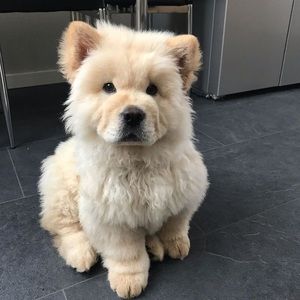 Meet your Posher, Marina